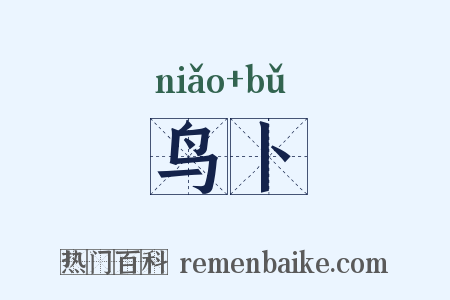 鸟卜是什么意思的图片